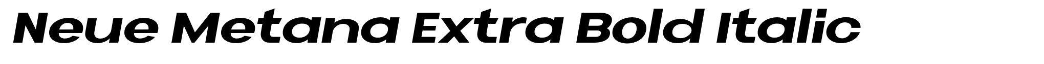 Neue Metana Extra Bold Italic image